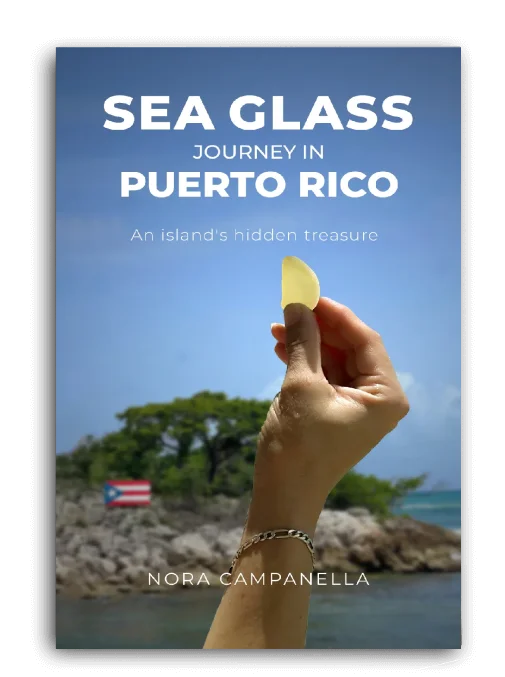 Published book cover 7